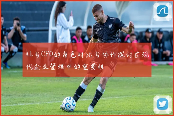 AL与CFO的角色对比与协作探讨在现代企业管理中的重要性