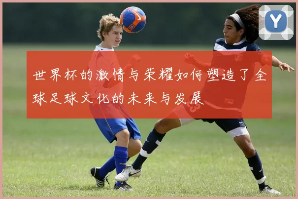 世界杯的激情与荣耀如何塑造了全球足球文化的未来与发展