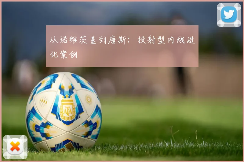 从诺维茨基到唐斯：投射型内线进化案例