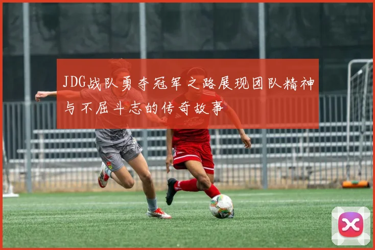 JDG战队勇夺冠军之路展现团队精神与不屈斗志的传奇故事