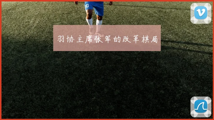 羽协主席张军的改革棋局