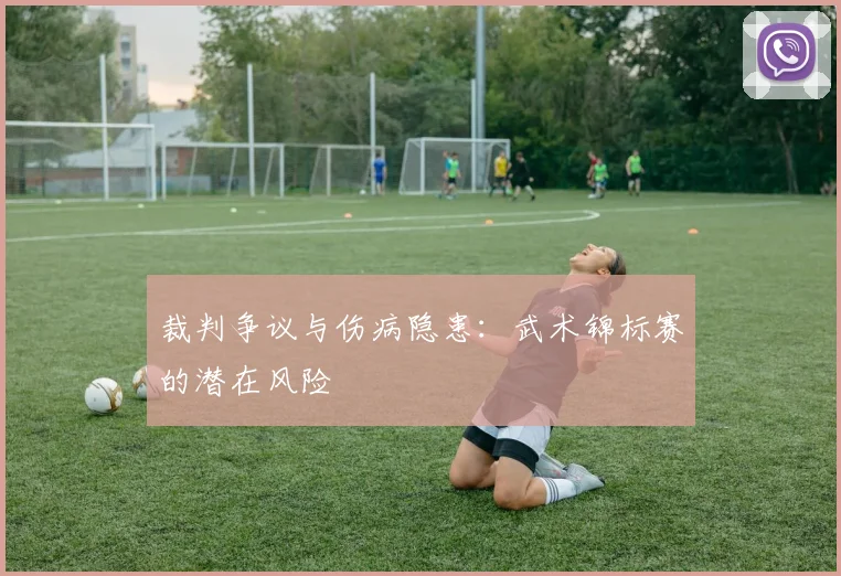 裁判争议与伤病隐患：武术锦标赛的潜在风险